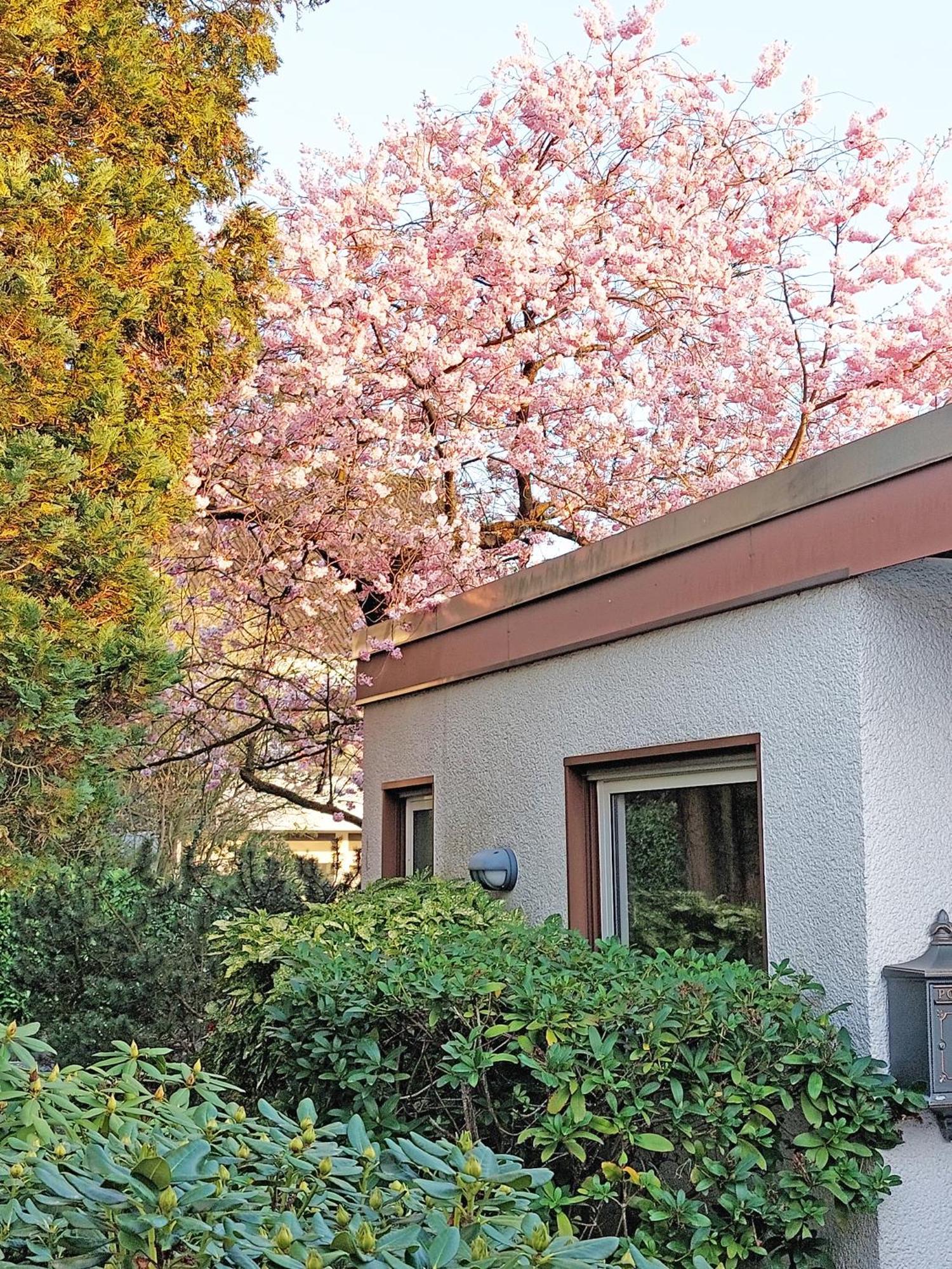 Apartment Close To Nature,Airport, Fair Ratingen Exterior foto